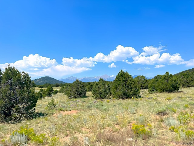 Listing photo 3 for 000 Corral N, Cotopaxi CO 81223