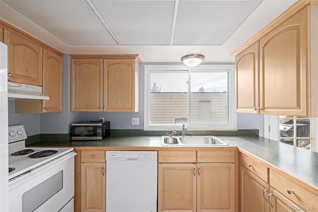 kitchen featuring sink, light brown cabinetry, and white appliances