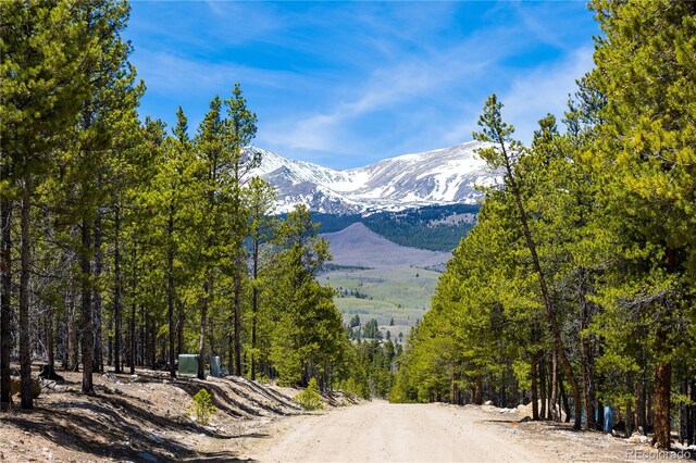 758 Spruce Dr, Twin Lakes, CO 80461 - photo 1