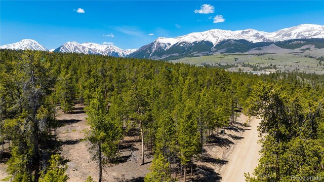 758 Spruce Dr, Twin Lakes, CO 80461 - photo 4