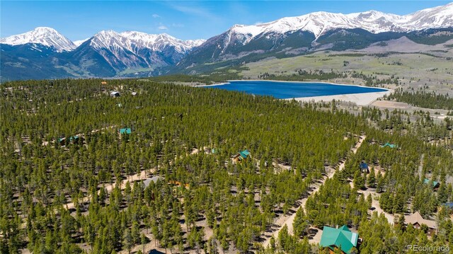 758 Spruce Dr, Twin Lakes, CO 80461 - photo 19