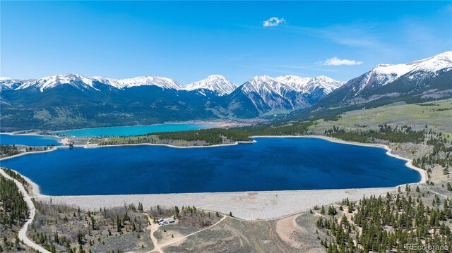 758 Spruce Dr, Twin Lakes, CO 80461 - photo 20