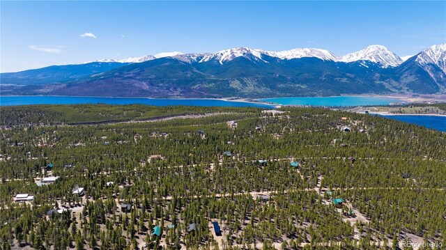 758 Spruce Dr, Twin Lakes, CO 80461 - photo 21