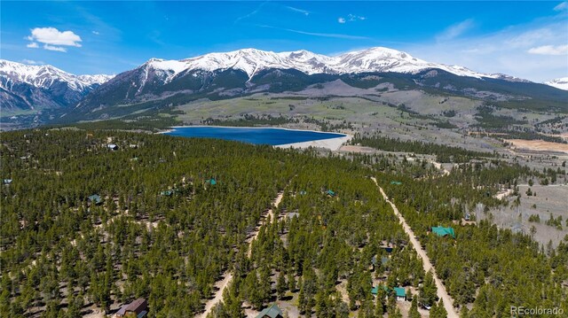 758 Spruce Dr, Twin Lakes, CO 80461 - photo 22