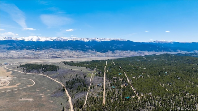 758 Spruce Dr, Twin Lakes, CO 80461 - photo 25
