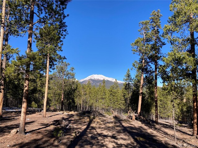 758 Spruce Dr, Twin Lakes, CO 80461 - photo 2