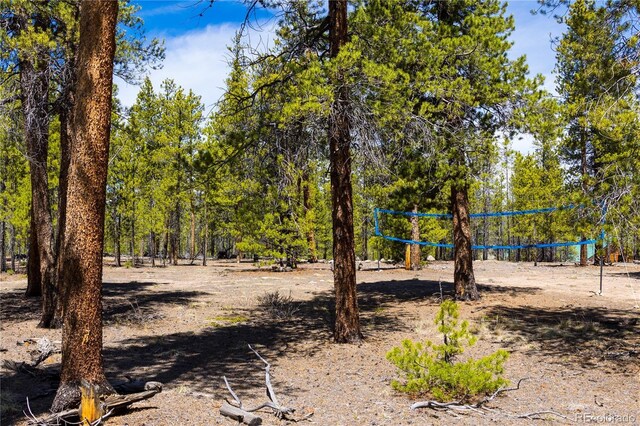 758 Spruce Dr, Twin Lakes, CO 80461 - photo 8