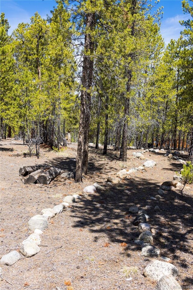 758 Spruce Dr, Twin Lakes, CO 80461 - photo 9