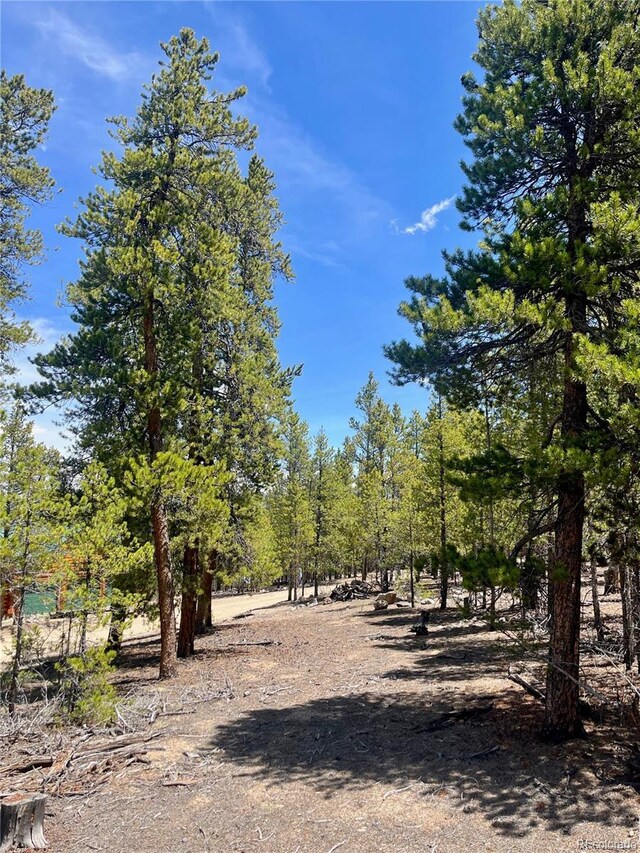 758 Spruce Dr, Twin Lakes, CO 80461 - photo 15