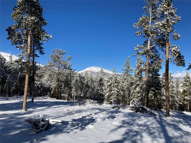 758 Spruce Dr, Twin Lakes, CO 80461 - photo 18