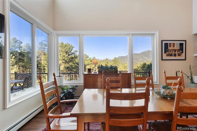 2873 Cortina Ln, Evergreen, CO 80439 - dining room featuring a mountain view, a baseboard radiator, and wood finished floors