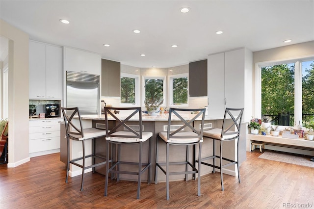 2873 Cortina Ln, Evergreen, CO 80439 - kitchen featuring built in refrigerator, recessed lighting, light wood-style flooring, decorative backsplash, and a kitchen bar