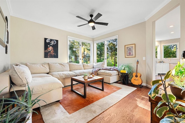 2873 Cortina Ln, Evergreen, CO 80439 - living room featuring wood finished floors, a ceiling fan, ornamental molding, and recessed lighting