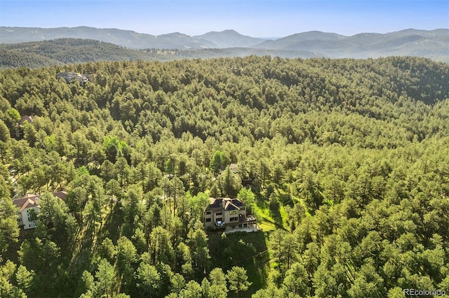 2873 Cortina Ln, Evergreen, CO 80439 - view of mountain background with a heavily wooded area