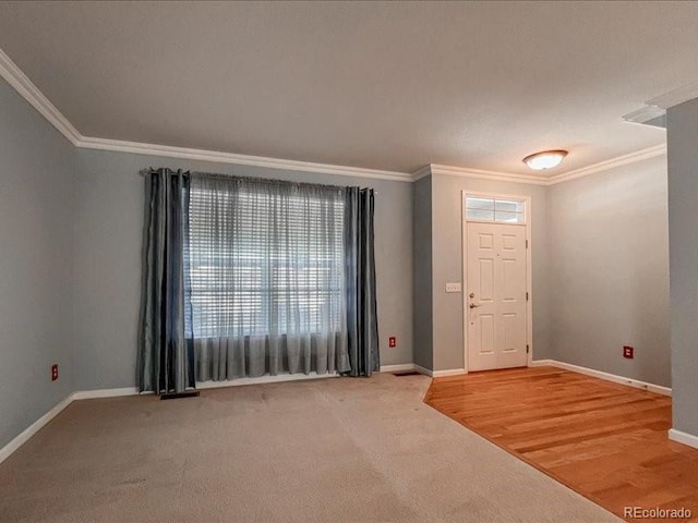 entryway with crown molding and carpet flooring