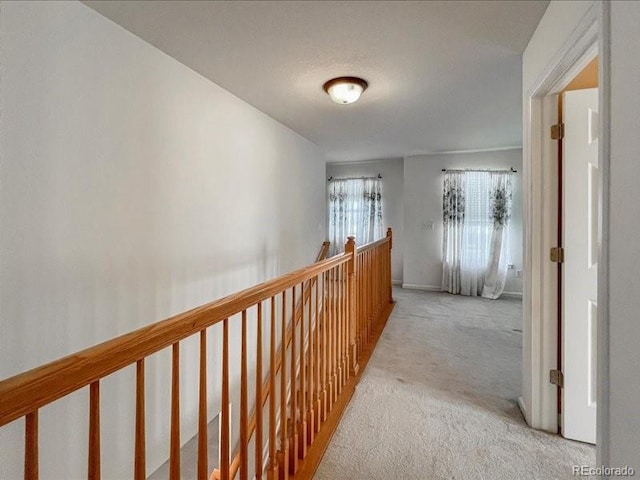 hallway with light carpet