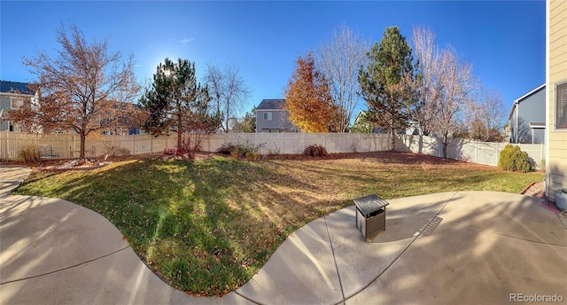 view of yard featuring a patio area