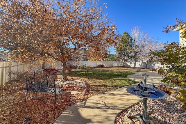 view of yard with a patio