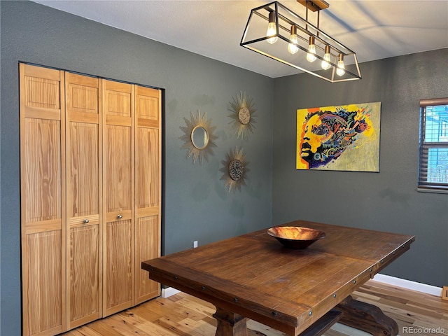 dining room with light hardwood / wood-style flooring