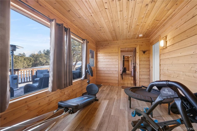 workout room featuring wood finished floors, wooden walls, and wooden ceiling