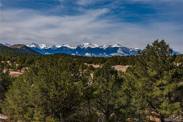 view of mountain feature with a forest view