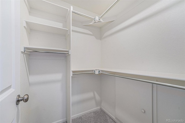 3934 N Quatar Ct, Aurora, CO 80019 - walk in closet featuring carpet