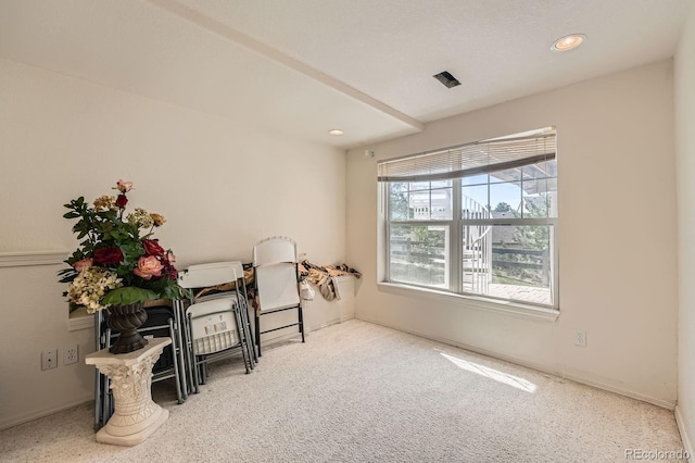 3549 Mallard Dr, Highlands Ranch, CO 80126 - photo 19