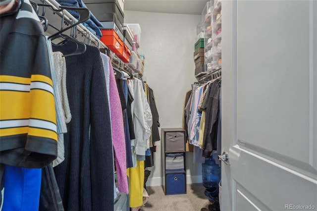 walk in closet with carpet