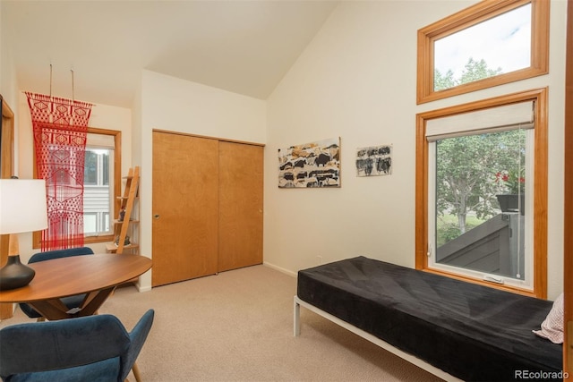 23624 Pondview Pl Unit G, Golden, CO 80401 - carpeted entryway with high vaulted ceiling and baseboards