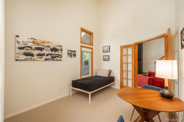 23624 Pondview Pl Unit G, Golden, CO 80401 - bedroom with a high ceiling and carpet