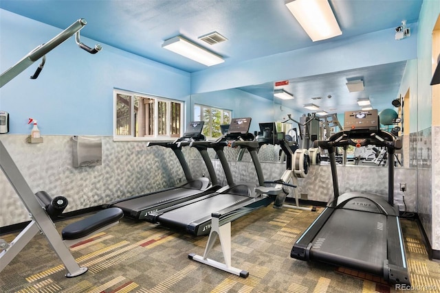 23624 Pondview Pl Unit G, Golden, CO 80401 - gym featuring carpet flooring