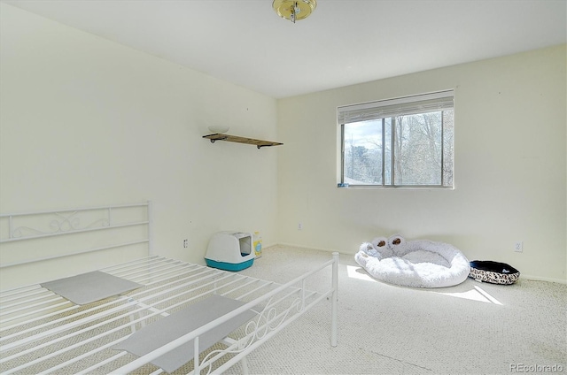 interior space featuring baseboards and carpet