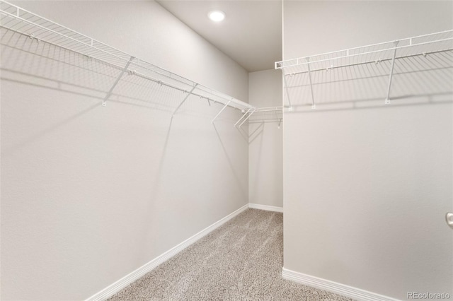 walk in closet with carpet flooring