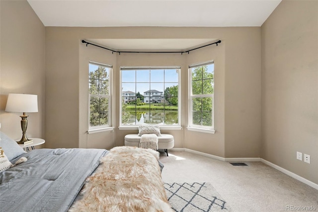 3240 W 114th Cir Unit D, Westminster, CO 80031 - bedroom with baseboards and carpet floors