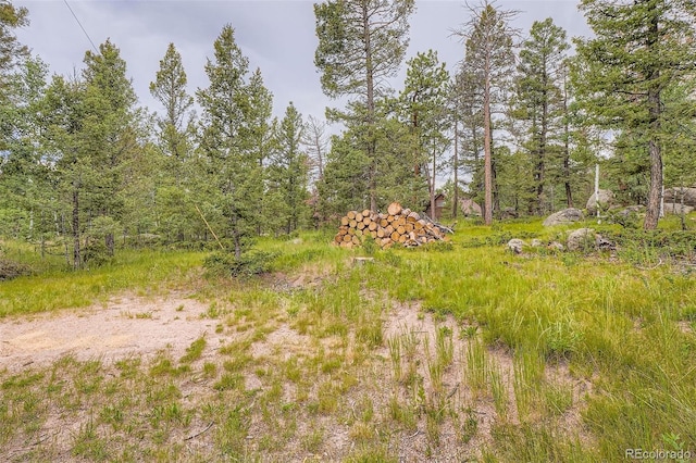 30520 Rand Rd, Conifer, CO 80433 - photo 24