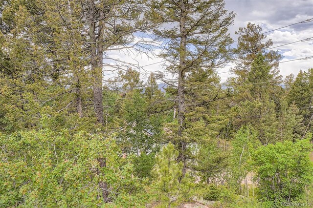 30520 Rand Rd, Conifer, CO 80433 - photo 27