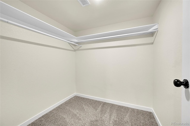 spacious closet featuring carpet floors