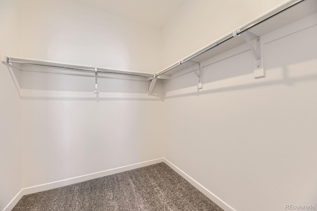 walk in closet with dark colored carpet