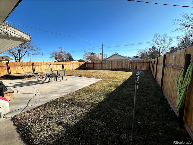 view of yard featuring a patio area and a fenced backyard