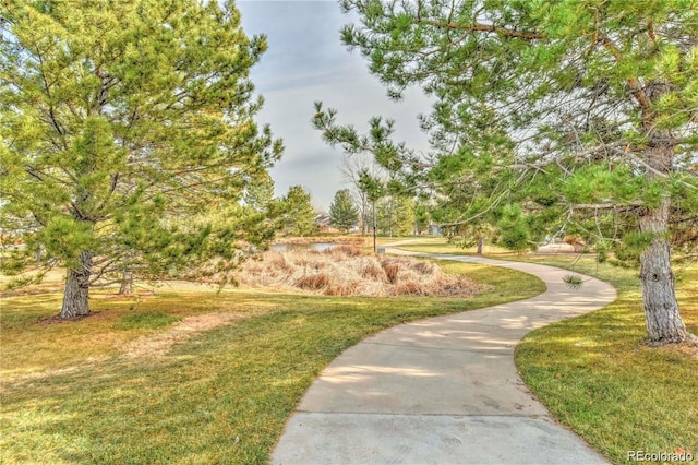 4164 E 135th Pl, Thornton, CO 80241 - view of home's community with a yard