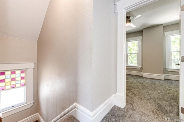 corridor with carpet flooring, plenty of natural light, and vaulted ceiling