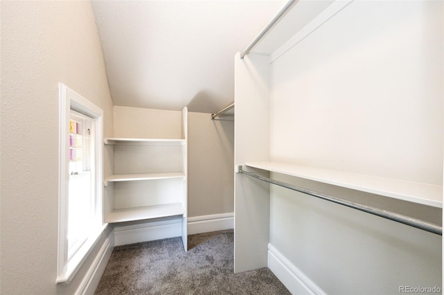 spacious closet with vaulted ceiling and dark carpet