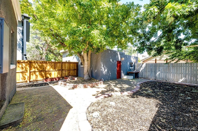 view of yard featuring a shed and a patio