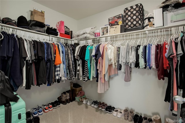 975 Alta St, Lochbuie, CO 80603 - view of walk in closet