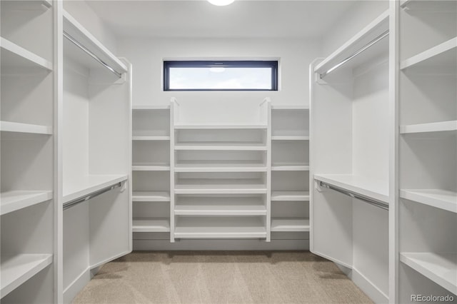 walk in closet with light colored carpet