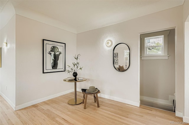 2558 N Gilpin St, Denver, CO 80205 - photo 6