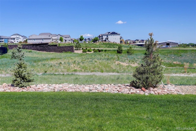 11063 Shining Star Cir, Parker, CO 80134 - photo 43