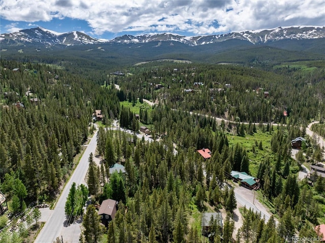 384 Blue Ridge Rd, Breckenridge, CO 80424 - photo 9