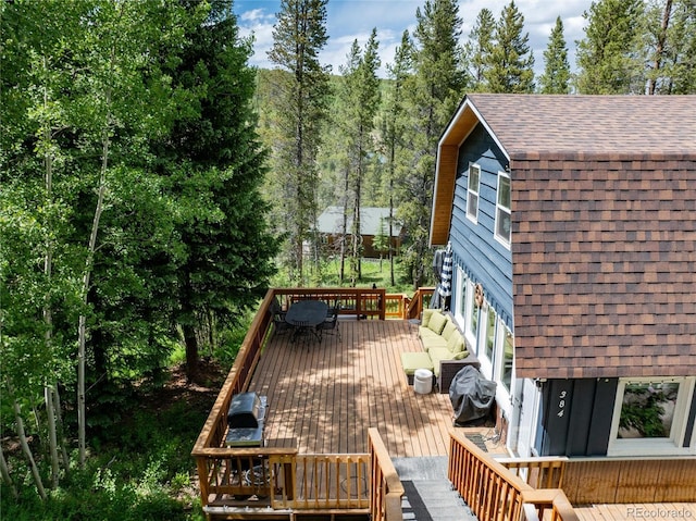 384 Blue Ridge Rd, Breckenridge, CO 80424 - photo 24