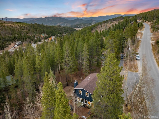 384 Blue Ridge Rd, Breckenridge, CO 80424 - photo 26